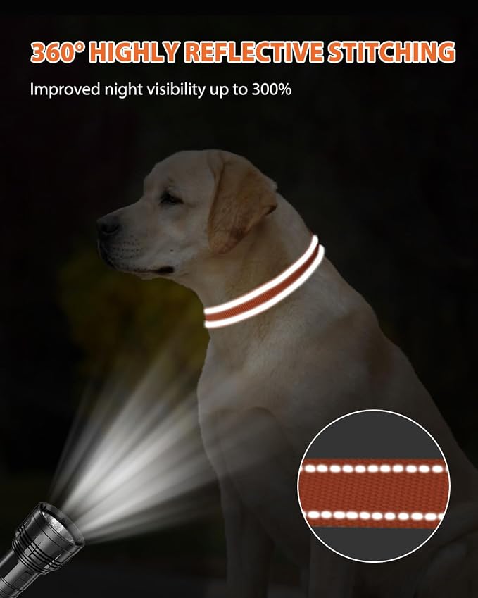 Joytale Large Dog Collar, Reflective and Adjustable Nylon Pet Collar - Image 5