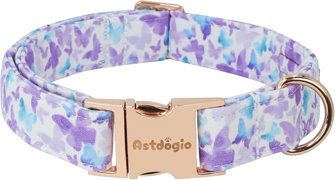 Elegant Butterfly Dog Collar, Gradient Purple Blue Dog Collars by Unknown