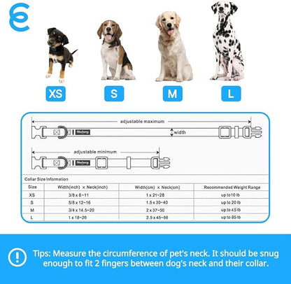 Blueberry Pet Essentials Matching Large Dog Collar | Adjustable Classic Solid - Image 9