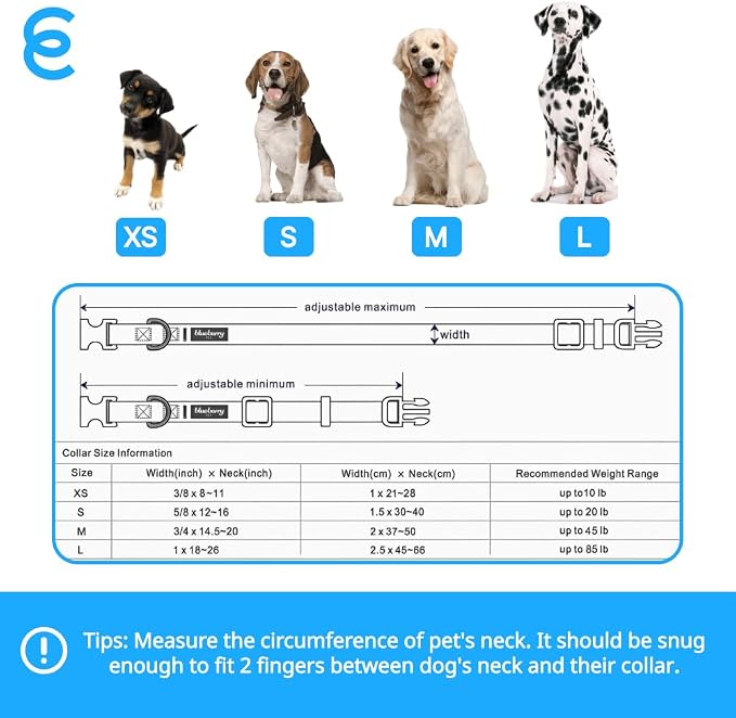 Blueberry Pet Essentials Matching Large Dog Collar | Adjustable Classic Solid - Image 9