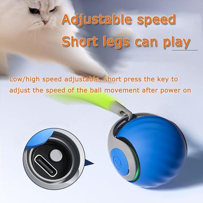 Interactive Cat Toy Ball, Speedy Tail2.0 Cat Toy, Automatic Interactive Cat Toys - Image 2