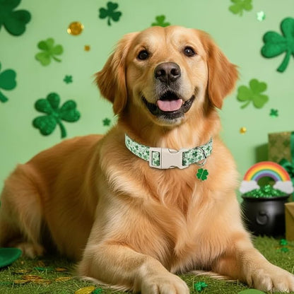 Dog Collars for Medium Dogs, Medium Girl Boy Pet Collar - Image 6