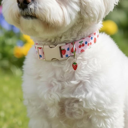 Pink Dog Collar, Female Dog Collar - Image 5