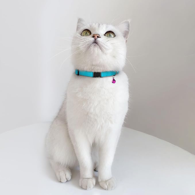Breakaway Cat Collar Leather - Image 9