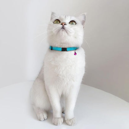 Breakaway Cat Collar Leather - Image 9