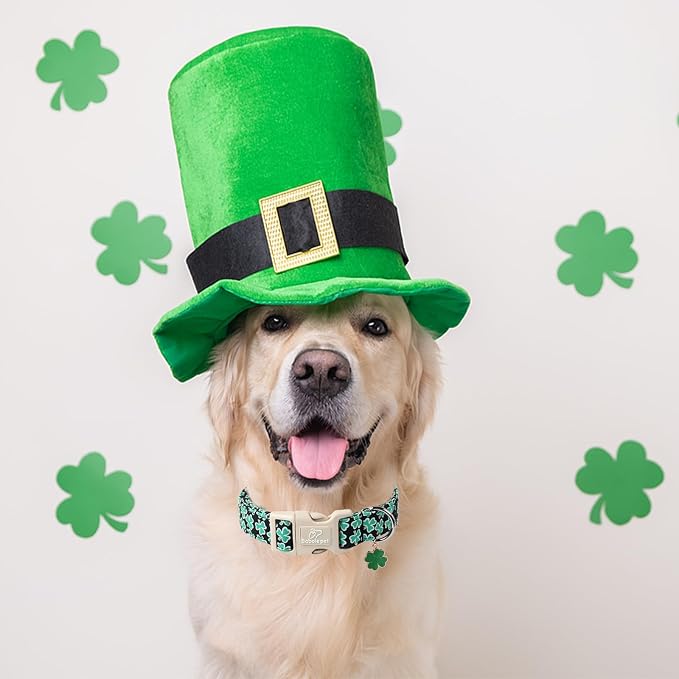 St Patricks Day Dog Collar for Giant Large Dogs - Image 4