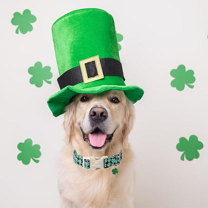 St Patricks Day Dog Collar for Giant Large Dogs - Image 4