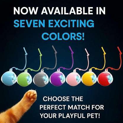 2026 New 2Pack Cat Ball Kitten Toys - Image 6