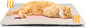 Self Warming Cat Bed Self Heating Cat Dog Mat 24 x 18 inch Extra Warm Thermal by MoraPets