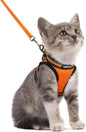 rabbitgoo Cat Harness and Leash Set by rabbitgoo