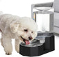 Sfozstra Dog Water Bowl Dispenser: 6L Large Black Gravity Stainless Steel Bowl by Sfozstra