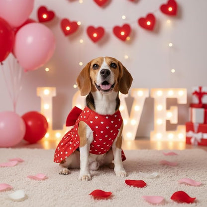 Valentine's Day Red Dog Dress, Cute White Heart Print & Satin Bow - Image 8