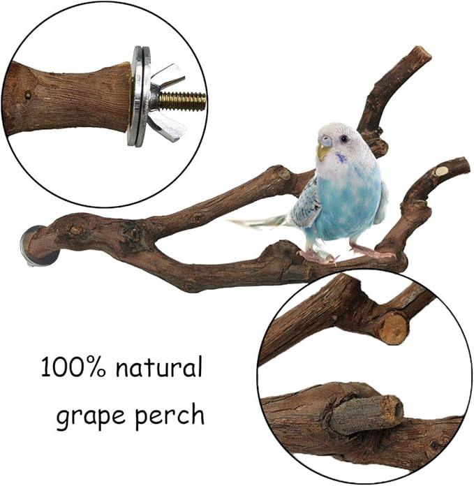 kathson Natural Parrot Perch Bird Stand Pole Wild Grape Stick Paw Grinding Fork - Image 2