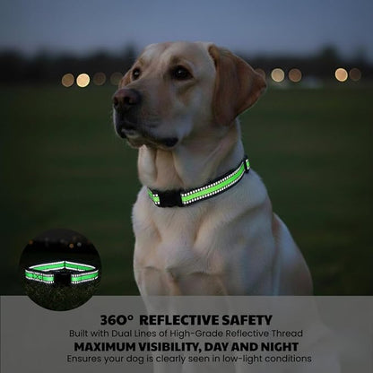 Dog Training Collar Replacement and Shock Collar Strap - Image 4