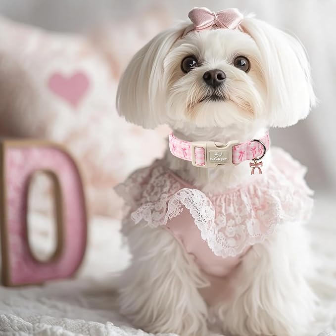 Girl Dog Collar for Medium Dogs - Image 7