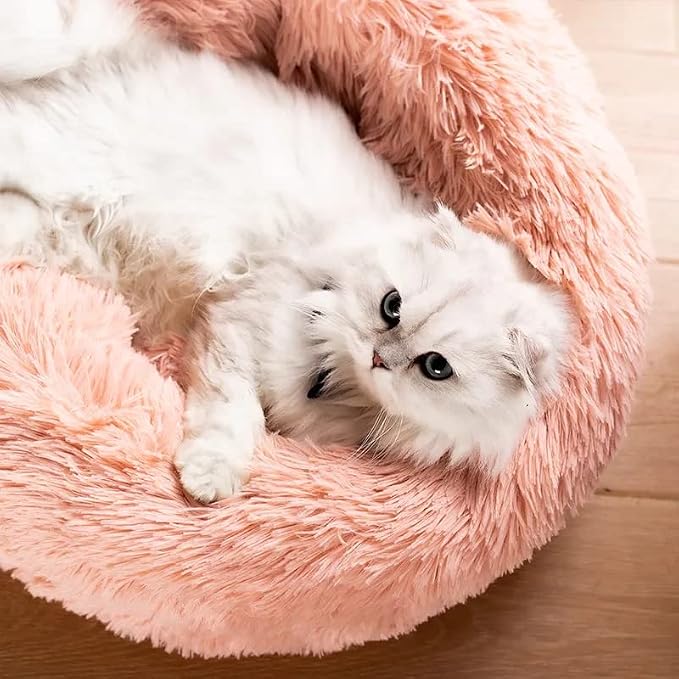 Large Cat Beds for Indoor Cats - Image 2
