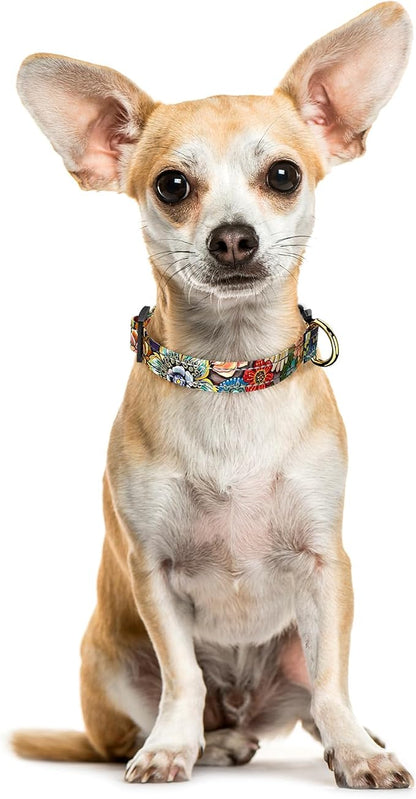 Reflective Dog Collar for Extra Small Dogs, Cute Boho Adjustable Heavy-Duty - Image 2