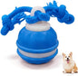 Zealburst Interactive Dog Toy Ball, 2026 Upgraded Motion Activated Rolling Ball by Unknown