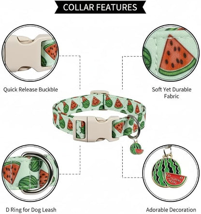 Summer Dog Collar for Medium Dogs, Cute Dog Collar - Image 2