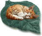 Cat Mat Self Warming Cat Bed 26"x20" Leaf Shaped Cotton Soft Warm Pet Pad by Rzxlszy