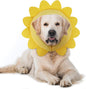 IEUUMLER Inflatable Recovery Dog Collar, Protective Donut Cone, Adjustable Soft by IEUUMLER