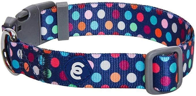 Blueberry Pet Essentials Rainbow Polka Dots Adjustable Dog Collar, Neck 12"-16" by BlueberryPet