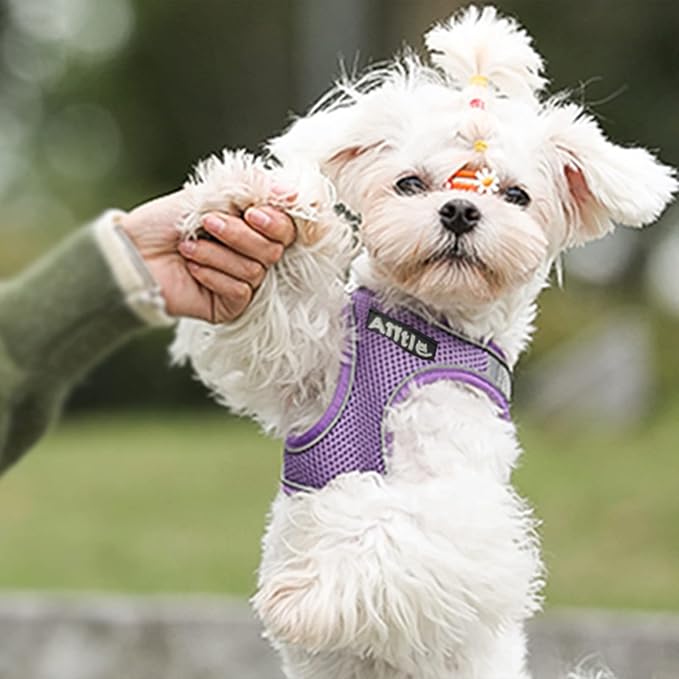 AIITLE Comfortable Dog Harness and Leash Set - Image 6