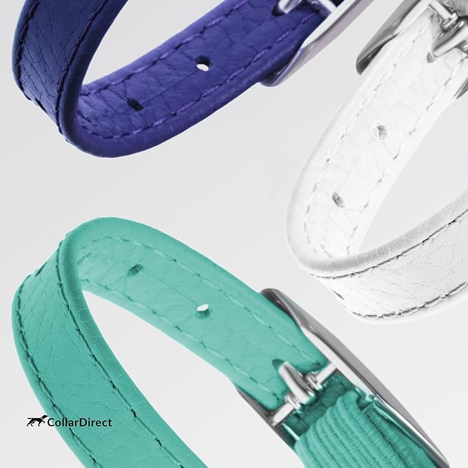 CollarDirect Leather Cat Collar, Kitten Collar - Image 8