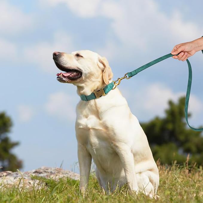 Didog Soft PU Leather Dog Collar, Stylish Quick Released Dog Collar - Image 3