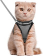 rabbitgoo Cat Harness and Leash Set by rabbitgoo