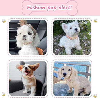 Halloween Dog Collar, Fall Dog Collars - Image 6