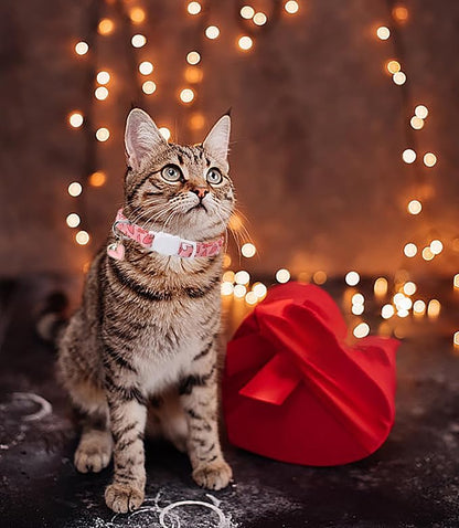 Lionet Paws 2pcs Pack Valentine's Day Cotton Cat Collar, Dot Heart Breakaway - Image 5