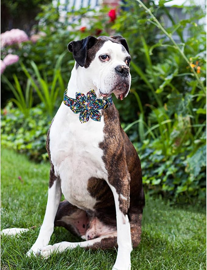 Lionheart Glory Floral Dog Bow Collar - Image 6