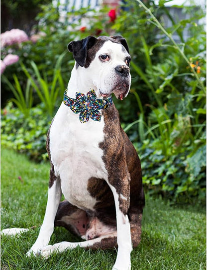 Lionheart glory Dog Collar Darkblue Flower Dog Bow Collars Floral Dog Collar - Image 5