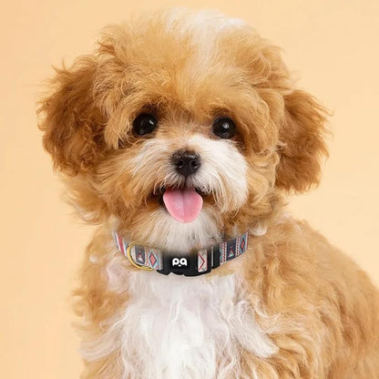 QQPETS Adjustable Soft Dog Collar: Print Flower Pink Multicolor Cute Patterns - Image 7