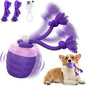 Interactive Dog Toy, Motion Activated Rolling Squeaky Ball by Huimpet