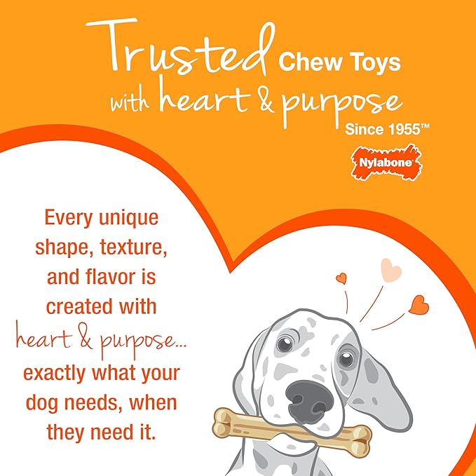 Nylabone Customer Favorites Power Chew Toy Bundle - Image 11