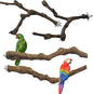Allazone 4-Piece Bird Perch by Allazone