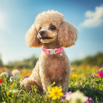 Girl Dog Collar for Giant Large Dogs - Image 2