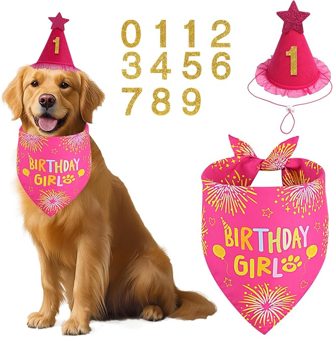 Dog Birthday Bandana Set Rose Pink, Dog Birthday Party Supplies by Unknown