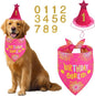 Dog Birthday Bandana Set Rose Pink, Dog Birthday Party Supplies by Unknown