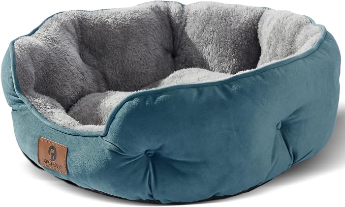 Asvin Medium Dog Bed for Medium Dogs, Cat Beds for Indoor Cats, Pet Bed for by Asvin