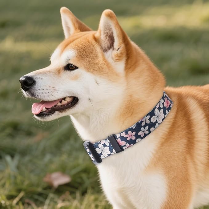 QQPETS Adjustable Soft Dog Collar: Print Flower Pink Multicolor Cute Patterns - Image 2