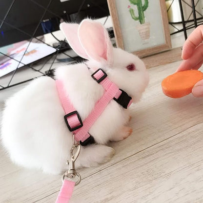 6 Pack Adjustable Cat Leash Harness Leash, Bunny Harness Leash - Image 3