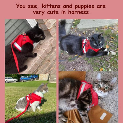 Cat Harnesses and Puppy Harness - Image 3