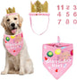 ADOGGYGO Dog Bandana Hat Set for Birthday Party Supply, Boy Girl Pet Birthday by ADOGGYGO