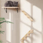 Wall Mounted 1 Pack Cat Shelf by PELUOMOZ