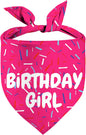 Birthday Girl Dog Bandanas 1 Pack, Pet Scarves HBD Bandanas by Yaofavo