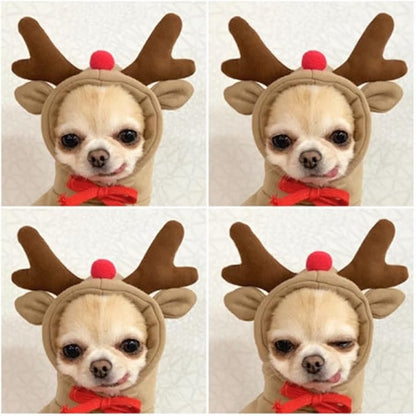 Warm Dog Winter Clothes Cute Fruit Dog Coat Hoodies Fleece Pet Dogs Costume - Image 3