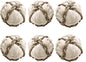 SunGrow Assorted Rabbit & Cat Chew Balls, Teething Activity Toy by SunGrow